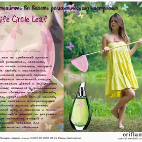 Рекламные постеры: Life Circle Leaf