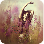 Интернет: Баннеры, аватары 